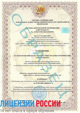 Образец разрешение Чамзинка Сертификат ISO/TS 16949